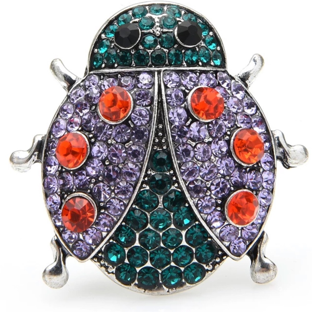 Lady Bug Brooch